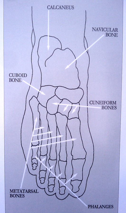 Shoes that Treat Foot Arthritis Shoes for Arthritic Feet Orthotic