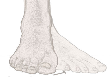 addcution of the foot - image