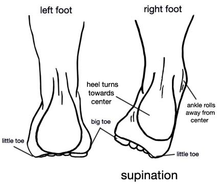 foot supination diagram