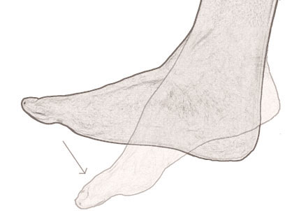 plantar flexion of the foot - image