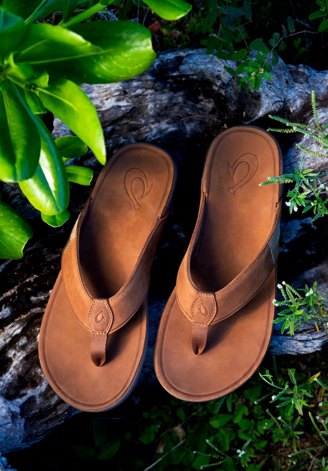 OluKai Tuahine Men's Sandals Free Shipping