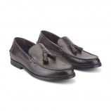 Rockport Whitlaw Tassel Cushioned Comfort Men's Loafer