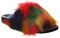 Bearpaw Lucinda Women's Knitted Textile Slippers - 2688W - Rasta Multi