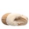 Bearpaw LOKI TODDLER Toddler's Slippers - 671T - Iced Coffee - top view