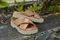 Vionic Vesta Womens Slide Sandals - Macaroon - 1-med
