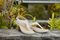 Vionic Terra Womens Slide Sandals - Cream - 5-med