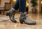 Orthofeet Emma Supportive Comfort Women's Boots - Taupe - Lifestyle View - 8