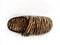 Vionic Sadie Women's Adjustable Strap Orthotic Slippers - orthotic slipper Natural Tiger top