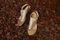 Vionic Ella Women's Backstrap Women's Sandal - Gold Metallic - 1-med